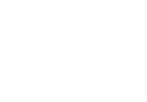 Koala Insulation